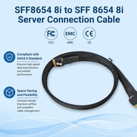 Câble de centre de données SFF-8654 8i 24 Gbit/s SAS4.0, interconnexion de stockage haute vitesse, blindage tressé, gaine en PVC, câblage interne de serveur