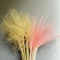 PPL41 Long Stipa Konserviertes Stein gras Großhandel Hochzeits dekoration Blumen material Dekorative Gegenstände Konservierte Blume