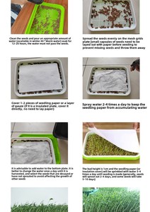 X103 nhà thủy canh nảy mầm phát triển khay đất miễn phí trồng Khay cho củ cải đậu nảy mầm bán buôn cây giống Vườn Ươm - Product Image 6