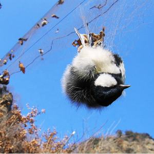 Vogelgaas Vangen Mistnet Levende Vogel Val Nevel Net 0.08Mm 0.11Mm 0.13Mm Voor Libanon Indonesië Uruguay Saudi Arabische Markt - Product Image 3