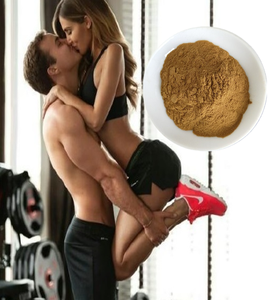 ผงคนแข็งแรงเวลาล่าช้า - Product Image 4