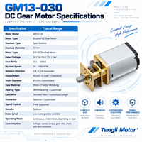 Moteur à engrenages CC brossé Tengli GM13-030 13 mm 3V 6V 12V, rapport 10:1 à 1000:1, boîte de vitesses à engrenages droits en métal, actionneur de serrure intelligente
