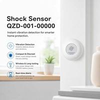Tranrule Tuya Sensor Getaran Detektor Guncangan Alarm Anti Maling Pintu Jendela Kontrol Aplikasi Anti Maling Daya Tahan Baterai 2 Tahun Rumah Pintar