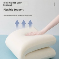 Oreiller papillon ergonomique en mousse à mémoire de forme avec soutien cervical, en tissu de soie de lait rafraîchissant, personnalisé, direct usine, pour l'exportation