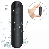 Hot Sell wiederauf ladbare Mini Wearable Bullet Vibrator Panty Love Egg mit Fernbedienung 10 Vibrations modi Vibrierendes Ei