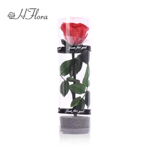 Заводская поставка, 20 см, декоративная консервированная Роза со стеблем/длинный стебель розы для празднования свадьбы, подарок на день валантина