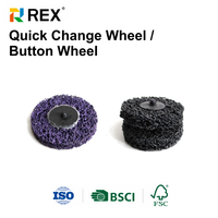 Disque abrasif en carbure de silicium REX pour polissage métal/non-métal - Roue à bouton à changement rapide OEM/ODM