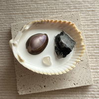 Nouvel Arrivage Cadeau Artisanal Décor À La Maison Océan Coquillage Désodorisant Diffuseur De Parfum Aromathérapie Pierre Parfumée