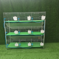 Cage à lapins multi-niveaux pour l'élevage de lapres et de lapereaux, en promotion, vente en gros