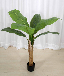 Plante artificielle <span class=keywords><strong>Musa</strong></span> Basjoo de haute qualité en pot, effet réaliste, faux arbre <span class=keywords><strong>Musa</strong></span> Basjoo en pot pour la décoration de la maison, du magasin ou du bureau - Product Image 3