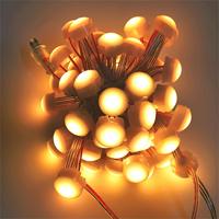 Prix d'usine T20, LED Pixel RGBW extérieur IP66 de 12 mm, 20 mm, 30 mm pour Noël et les fêtes, installation permanente