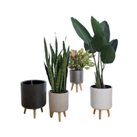 Pot de plantes intelligent pour plantes d'intérieur, capteur intégré pour l'humidité et la fertilité, jardinière auto-arrosante avec support en bois