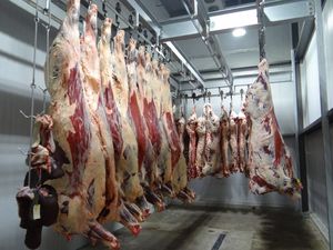 Projet de refroidisseur et de congélateur de boucherie personnalisé équipement de stockage en chambre froide pour la viande refroidisseur de plain-pied pour la viande - Product Image 4