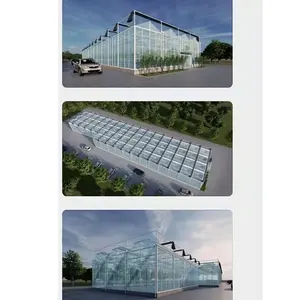 Large Multi-Span Greenhouse System For Agricultural Equipment For Efficient Greenhouse Management