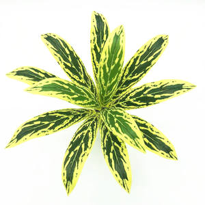 Décor d'intérieur de haute qualité Mini Big Faux plastique vert naturel Faux <span class=keywords><strong>Areca</strong></span> Feuilles de palmier Plantes, Petit palmier artificiel - Product Image 6