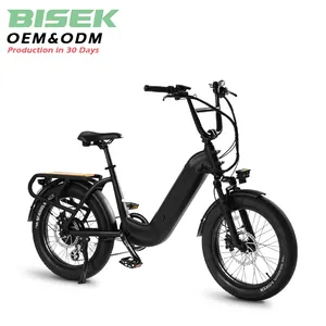 OEM 250W China al por mayor 750W bicicleta de carga eléctrica ebike e-cargo familia e bicicleta para la entrega familiar