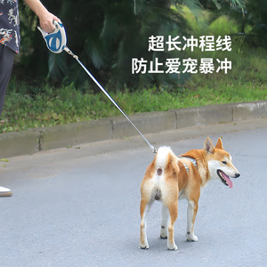 Correa Retráctil para Perros Pardoo con Sistema de Freno de Corto Alcance y Mango Ergonómico de Goma para Perros Pequeños - Product Image 4