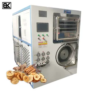 Manufacturer Supply vacuum drying commercial automatic lyophilizer industrial fruit freeze-dryer-price 20kg