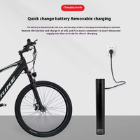 Hot New Design 250W VTT électrique pour adultes haute qualité pas cher batterie au Lithium alimentation en alliage d'aluminium sans brosse