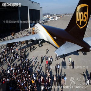 Logística Internacional de Comercio Electrónico a EE. UU., Envío Exprés UPS DHL, Paquetes Pequeños, Alimentos, Cosméticos, Efectos Personales, Origen Shenzhen - Product Image 1
