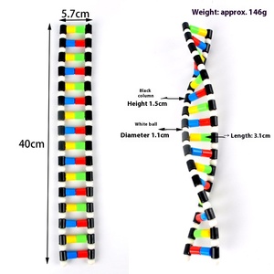 DNA-Doppelhelix-Struktur modell Kunststoff Biologische experimentelle Ausrüstung Lehr instrument Desoxy ribose Genetisches Gen - Product Image 3
