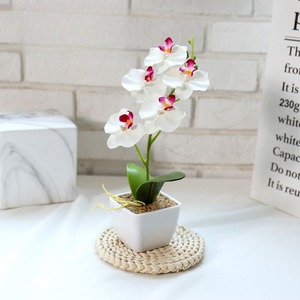 Orchidée Phalaenopsis Artificielle Classique Faite à la Main au Toucher Réel, Miniature en Pot, Fleur Blanche en Plastique, Étanche et Écologique - Product Image 3