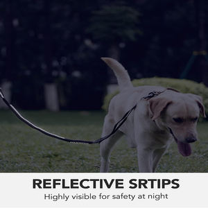 Tali kekang anjing reflektif tahan lama, tali anjing peliharaan luar ruangan dengan klip Carabiner logam tali anjing dapat diatur - Product Image 3