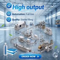 Machine de remplissage d'eau minérale en acier inoxydable 316 durable pour une exploitation industrielle à long terme