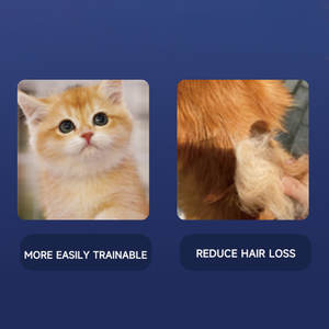 Suppléments oméga-3 à l'huile de poisson et de saumon pour animaux de compagnie pour chien, chat, soins des articulations, soins de la peau, anti-épilation, immunité, soins de santé pour animaux de compagnie - Product Image 5