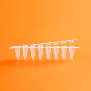 Bán Hot DNA <span class=keywords><strong>RNA</strong></span> miễn phí Trắng 0.1ml 0.2ml pcr 8-dải ống cho phòng thí nghiệm - Product Image 2