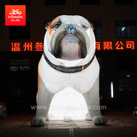 Mascotte géante de conception personnalisée extérieure, publicité gonflable, chien de dessin animé avec lumière Led pour les décorations d'événements