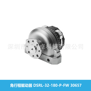 Festo Angular Travel Drive DSRL-32-180-P-FW 30657 Swing Cylinder Dual Action - Product Image 4