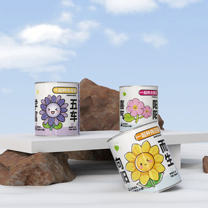 Boîte Mystère Végétale : Cadeau pour Enfants, Fleurs en Pot d'Intérieur Faciles d'Entretien, Plantes de Bureau Écologiques, Idéal pour la Fête des Enfants - Product Image 2