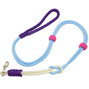 สายจูงสุนัขแบบสั้น ทำจากเชือกไนลอนถักมือ ทนทาน ดีไซน์หัวเข็มขัดคู่ พร้อมโลโก้สั่งทำได้ หลายสี สำหรับปลอกคอและชุดสายรัดสุนัข - Product Image 1