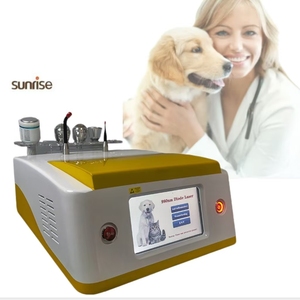 Class IV Veterinary Diode Laser 980 Vet Pain Relief Pet <strong>Physio</strong> Rehabilitation Veterinary Laser Therapy <strong>Equipment</strong> - Product Image 3