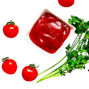 Salsa de tomate - Ketchup 500ml, deliciosa, hecha en Vietnam, precio de mayoreo, más vendida. - Product Image 1