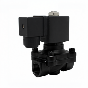 Válvula Solenoide de Diafragma COVNA de 1/2 Pulgada, 2 Vías, 12V/24V, Normalmente Cerrada, de Acero Inoxidable para Agua, Aire y Alta Temperatura - Product Image 2