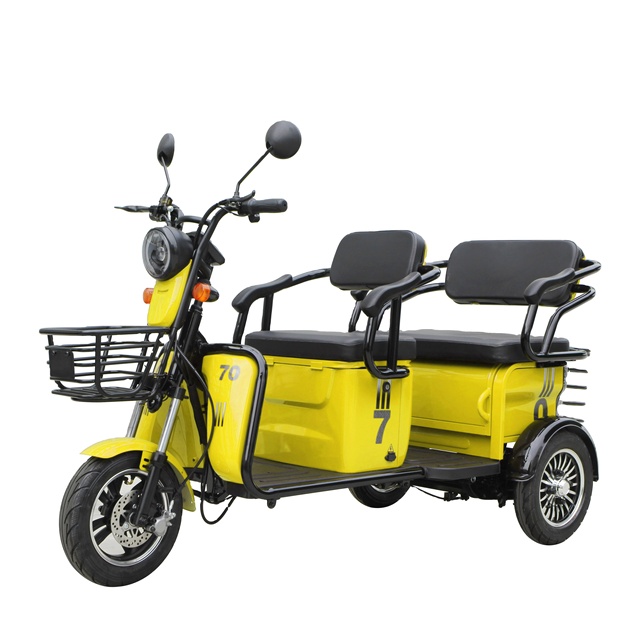 An Electric Trike with EEC Qualification 3 Wheel Cargo Tricycle Rickshaw for Adult