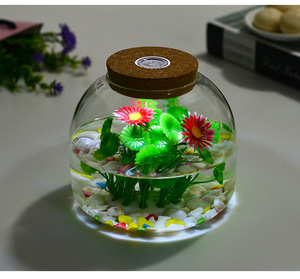 <span class=keywords><strong>Vase</strong></span> en verre DIY pour terrarium de mousse avec lumière LED et bouchon, décoration d'intérieur, pot de fleurs pour mariages et table - Product Image 4