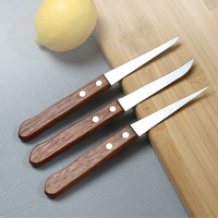 Vente chaude Mini Fruit Spéléologie Set Acier et Inoxydable Couteau À Découper Manche En Bois