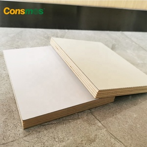 Contrachapado Laminado Blanco <span class=keywords><strong>Formica</strong></span> <span class=keywords><strong>de</strong></span> Alta Presión <span class=keywords><strong>de</strong></span> 16 mm y 18 mm - Product Image 6