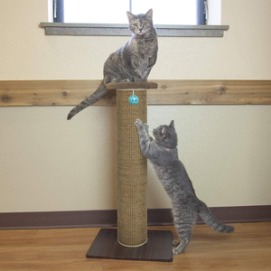 Atacado <span class=keywords><strong>Cat</strong></span> Tree & Scratcher com Sisal <span class=keywords><strong>Posts</strong></span> <span class=keywords><strong>Cat</strong></span> Escalada Pet <span class=keywords><strong>Toy</strong></span> para Scratch e Play - Product Image 5