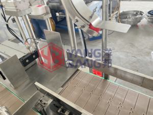 YB-YG8B entièrement automatique 8 buses liquide bouteille remplissage capsulage Machine désinfectant désinfectant antiseptiques liquide Machine de remplissage - Product Image 3