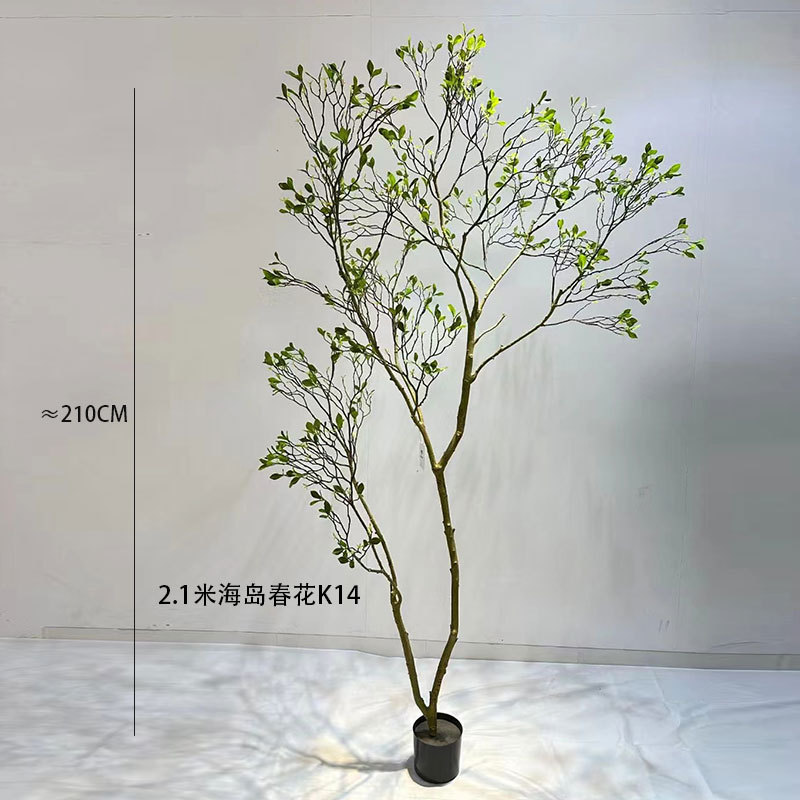 Fleur de printemps insulaire de 2,1 mètres k14