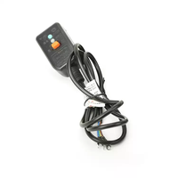 Câble d'alimentation certifié 3C avec protection contre les fuites 10A/16A IEC C13 avec prise CN EU US 3*0.75/3*1.0mm² Longueur personnalisée