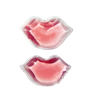 Produits les plus vendus 2024 Pack de glace réutilisable en PVC chaud et froid en gros