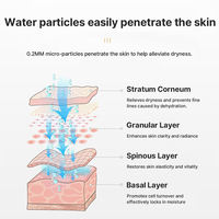 Vaporisateur facial ionique mural à bras articulé réglable, brume chaude, atomiseur facial ionique professionnel pour salon de beauté et spa, hydratation du visage