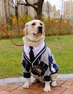 Suéter de perro mascota grande <span class=keywords><strong>Golden</strong></span> <span class=keywords><strong>Retriever</strong></span> personalizado de fábrica, ropa, cárdigan de invierno, <span class=keywords><strong>abrigo</strong></span> - Product Image 5