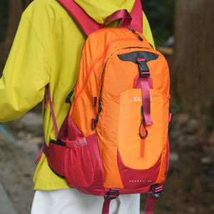 Wholesale High Quality Nylon Large Capacity Waterproof Light Weight Durable Travel <b>Backpack</b> Zipper Trendy Fashion Sports Gear - Product Image 3