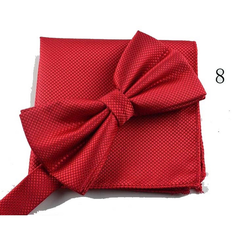 В мелкий горошек на шнуровке официальная однотонная с готовым узелком галстуки галстук-бабочку и нагрудный платок комплект